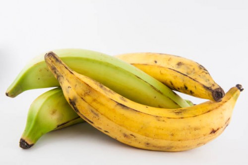 Plantain