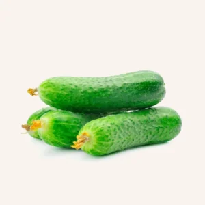 Cucumber